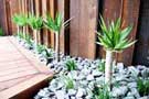 steel-retaining-wall-yuccas