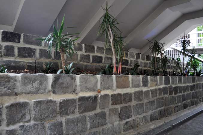 bluestone-wall-plants