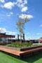 landscaping-commercial-maple-THUMB